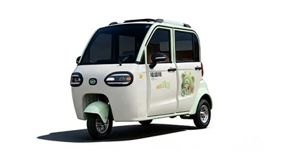 Mini vehicul electric cu viteză mică