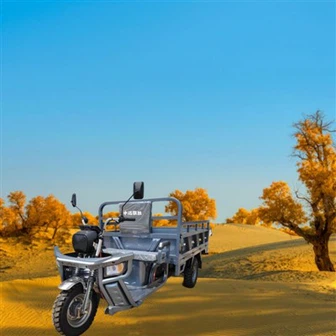 Triciclu de marfă de uz casnic